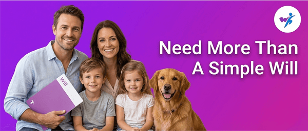 Will Hero — Need more than a simple Will